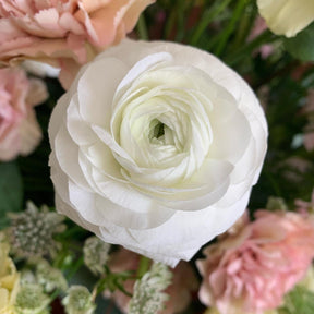 Ranunculus Amandine White Corms for Sale